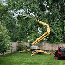Best Lawn Watering Services  in Catawissa, PA