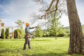 Best Tree Mulching  in Catawissa, PA